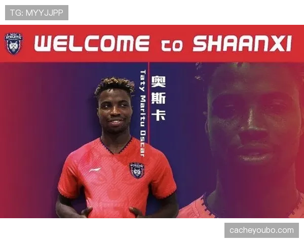 戈塔特内线护筐效率提升明显，拉开与锋线对手防守差距