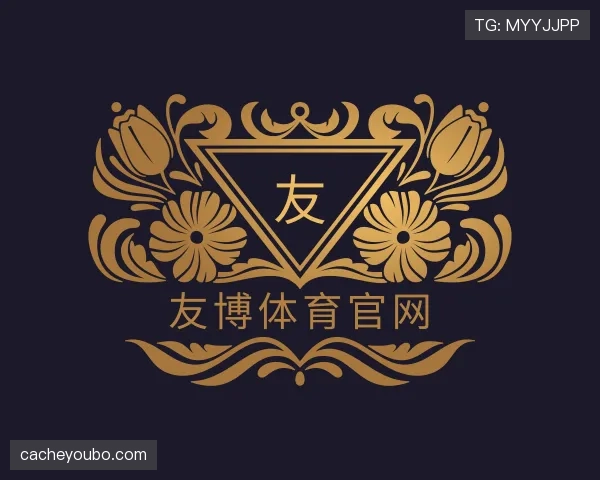 解读友博体育